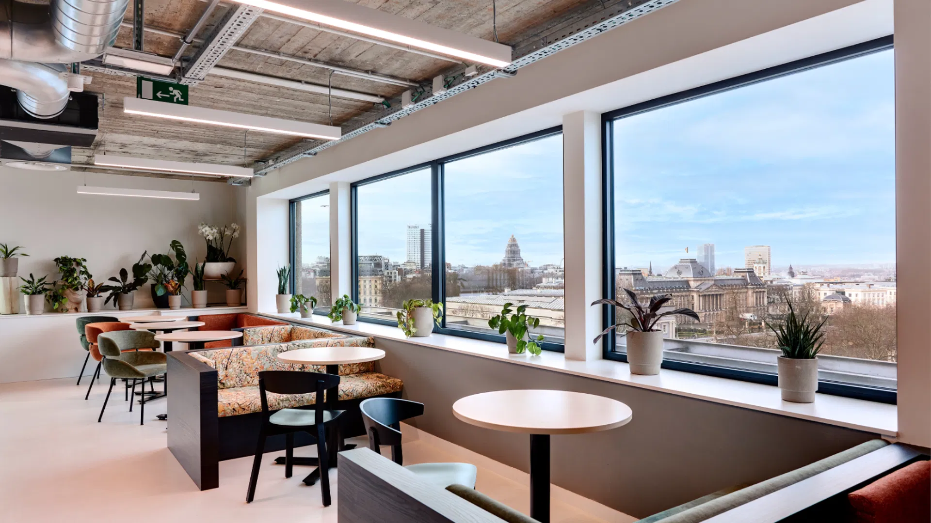 professionals working in a collaborative space